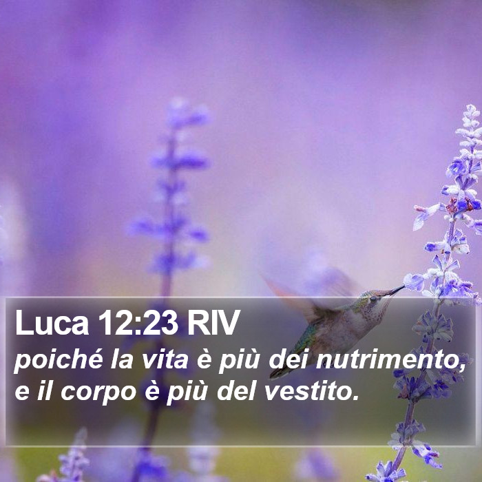 Luca 12:23 RIV Bible Study