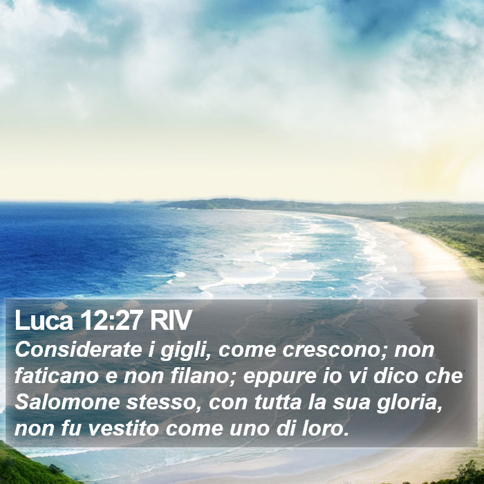 Luca 12:27 RIV Bible Study