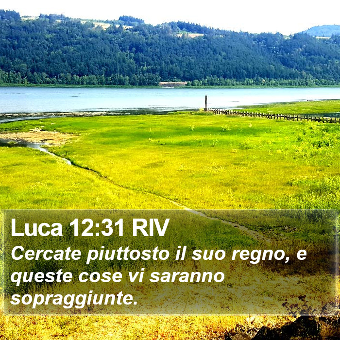 Luca 12:31 RIV Bible Study