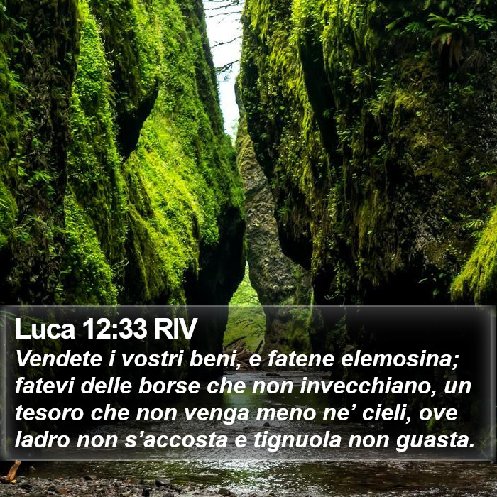 Luca 12:33 RIV Bible Study
