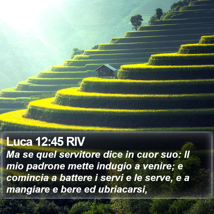 Luca 12:45 RIV Bible Study