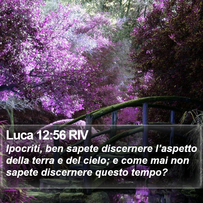 Luca 12:56 RIV Bible Study