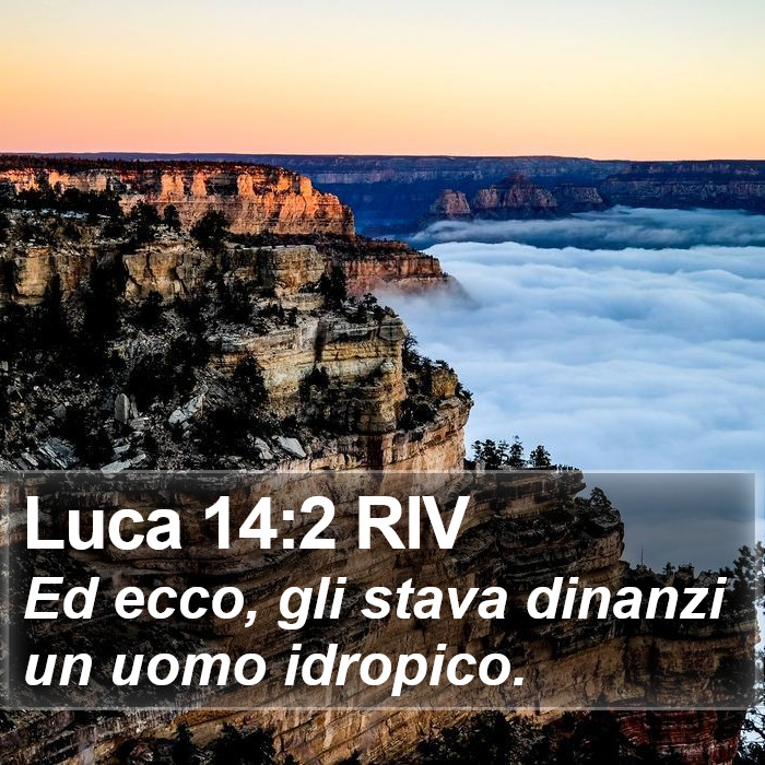 Luca 14:2 RIV Bible Study