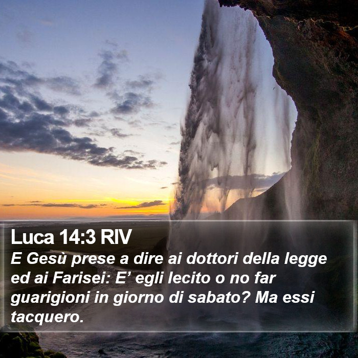 Luca 14:3 RIV Bible Study