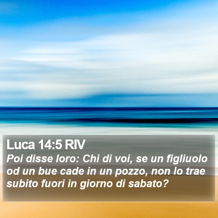 Luca 14:5 RIV Bible Study