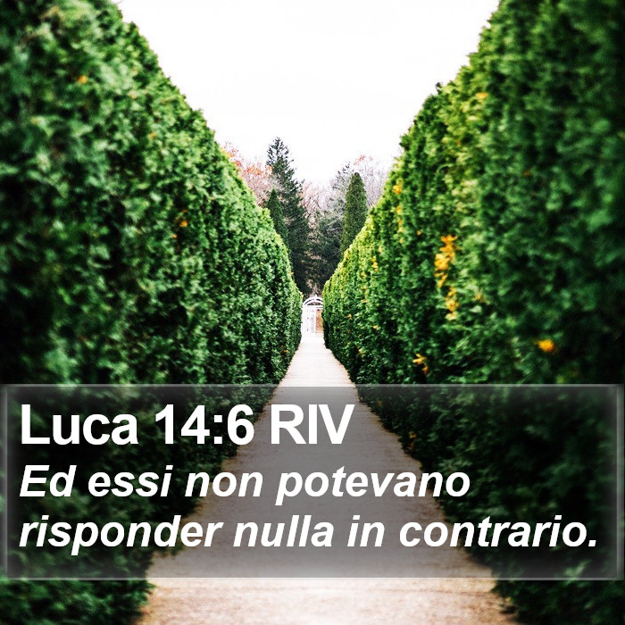 Luca 14:6 RIV Bible Study