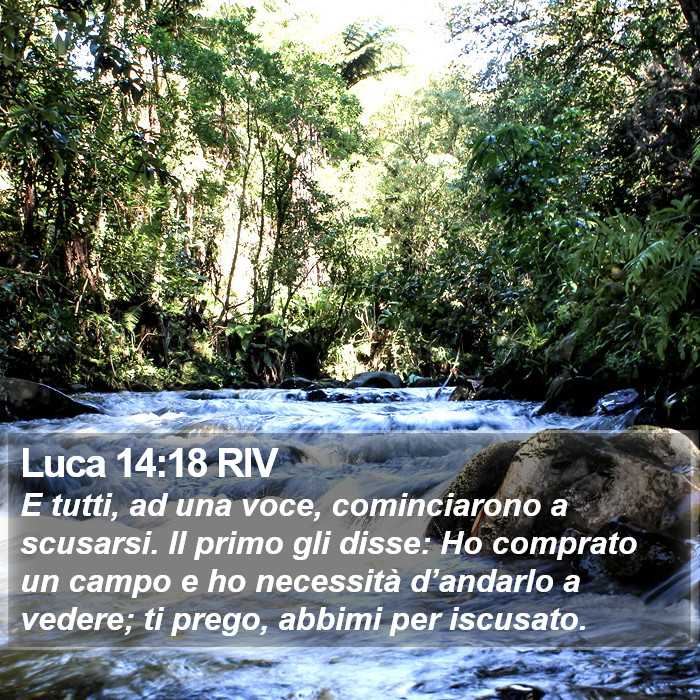 Luca 14:18 RIV Bible Study