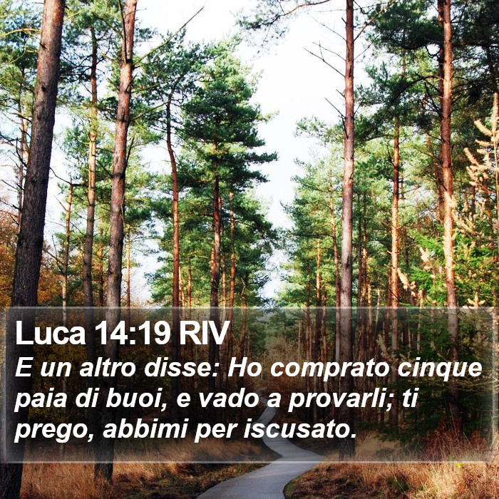 Luca 14:19 RIV Bible Study