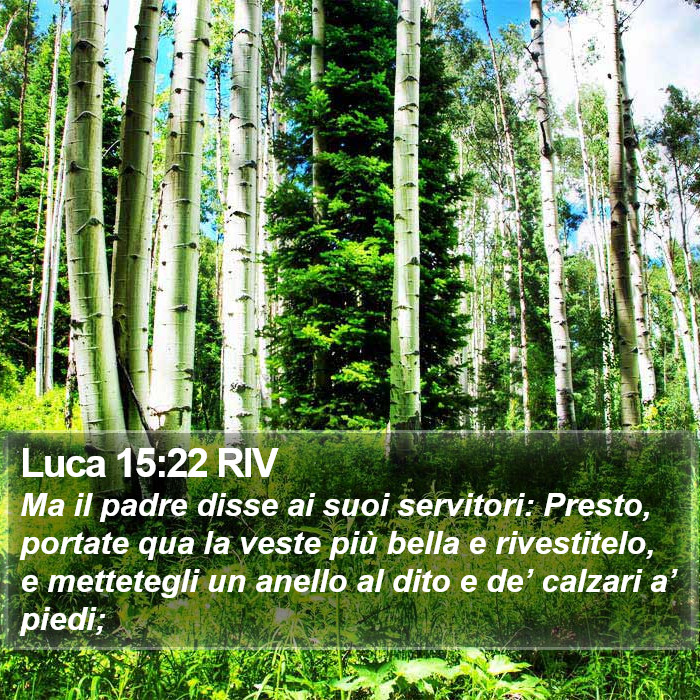 Luca 15:22 RIV Bible Study