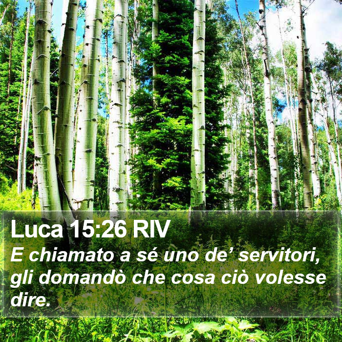 Luca 15:26 RIV Bible Study