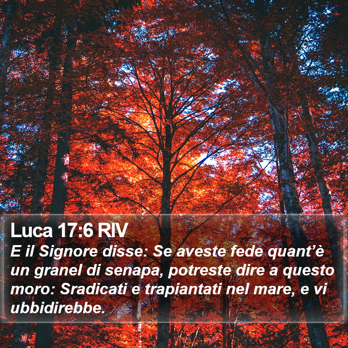 Luca 17:6 RIV Bible Study