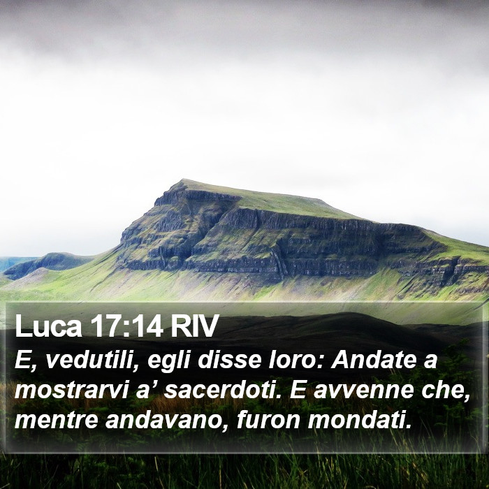 Luca 17:14 RIV Bible Study