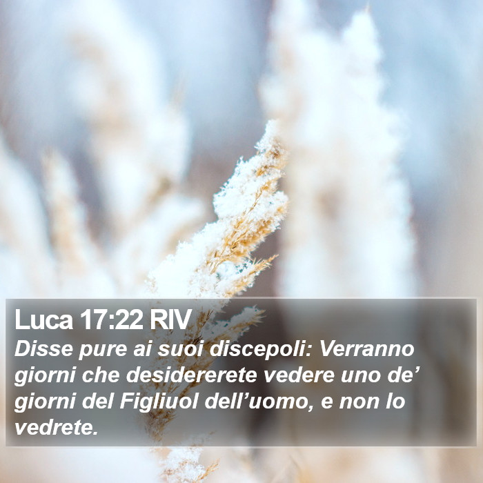 Luca 17:22 RIV Bible Study