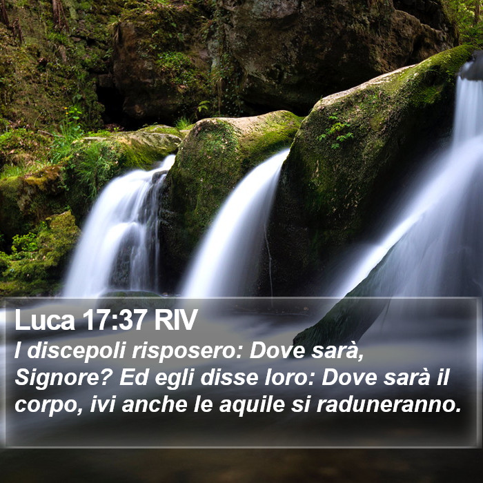 Luca 17:37 RIV Bible Study
