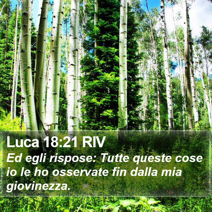 Luca 18:21 RIV Bible Study