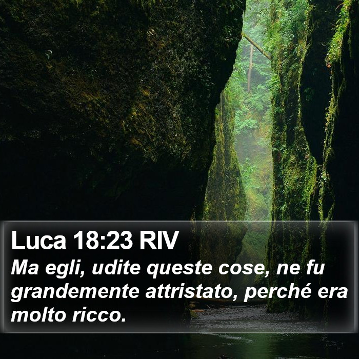Luca 18:23 RIV Bible Study
