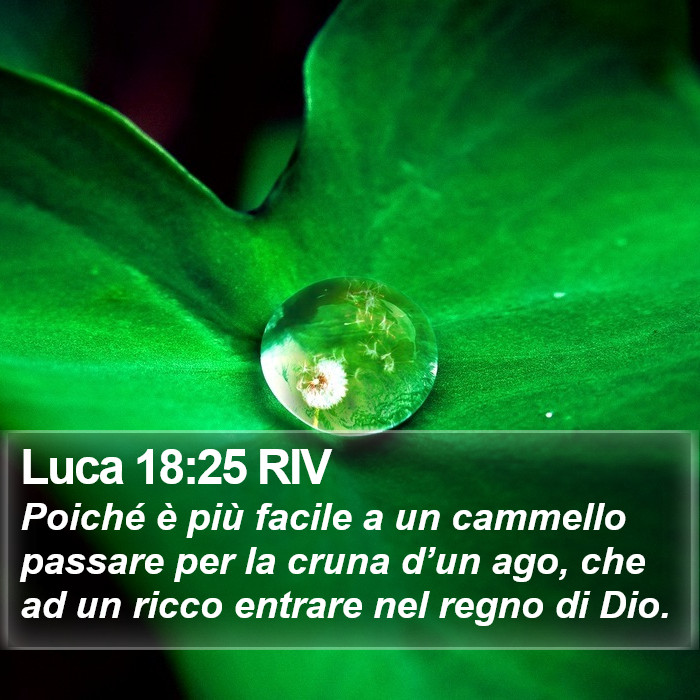 Luca 18:25 RIV Bible Study