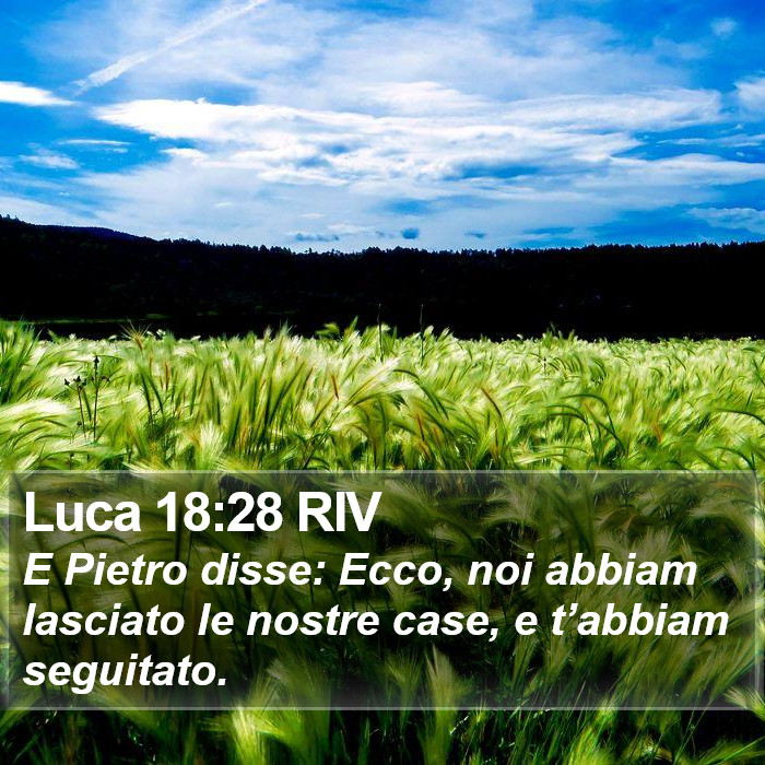 Luca 18:28 RIV Bible Study