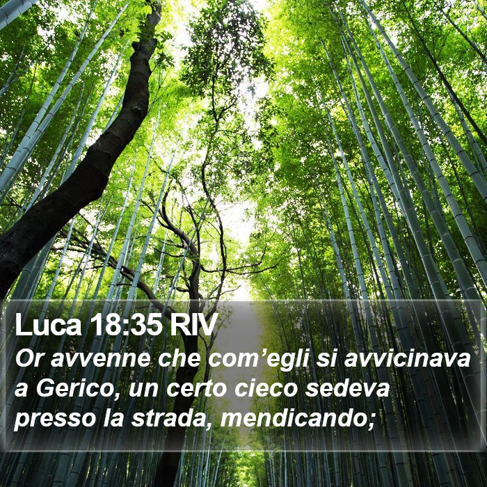 Luca 18:35 RIV Bible Study