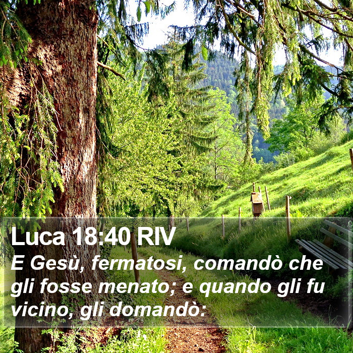 Luca 18:40 RIV Bible Study