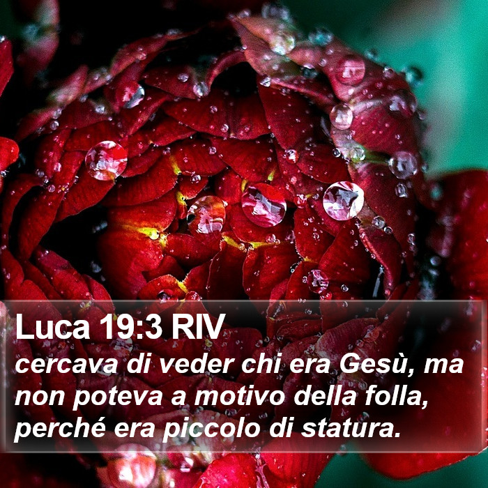 Luca 19:3 RIV Bible Study