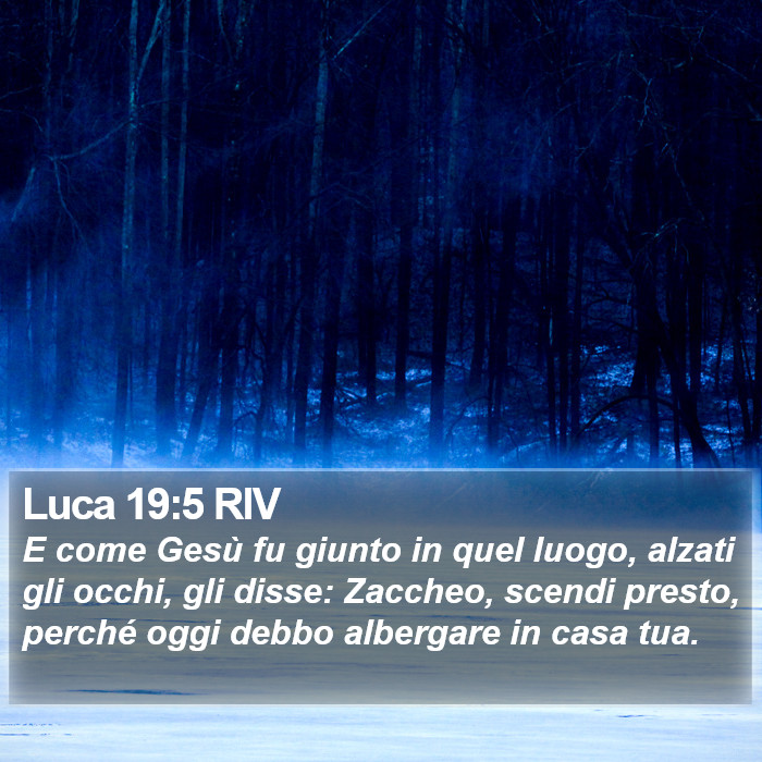 Luca 19:5 RIV Bible Study