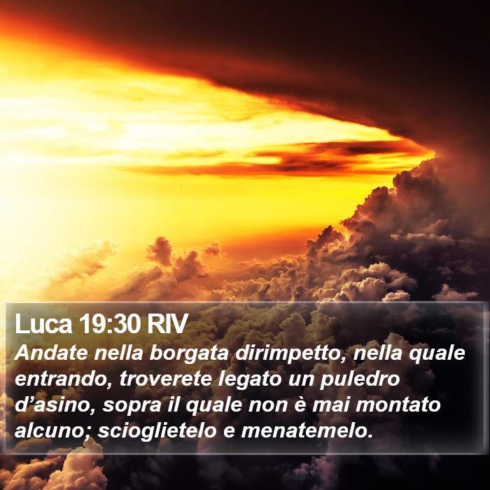 Luca 19:30 RIV Bible Study