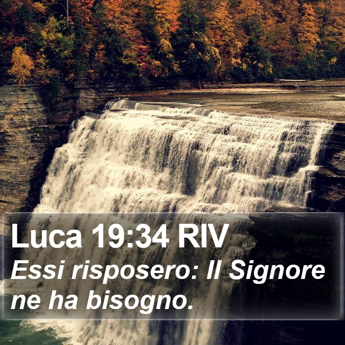 Luca 19:34 RIV Bible Study