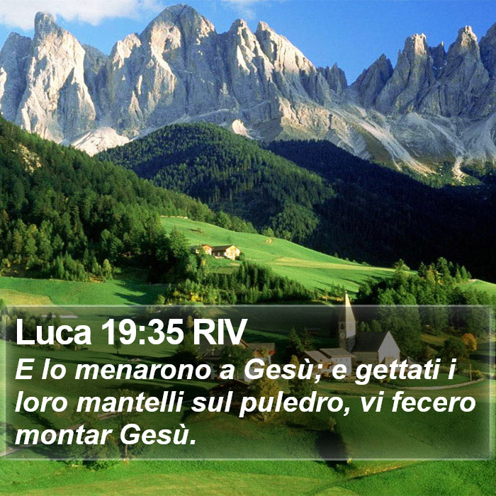 Luca 19:35 RIV Bible Study