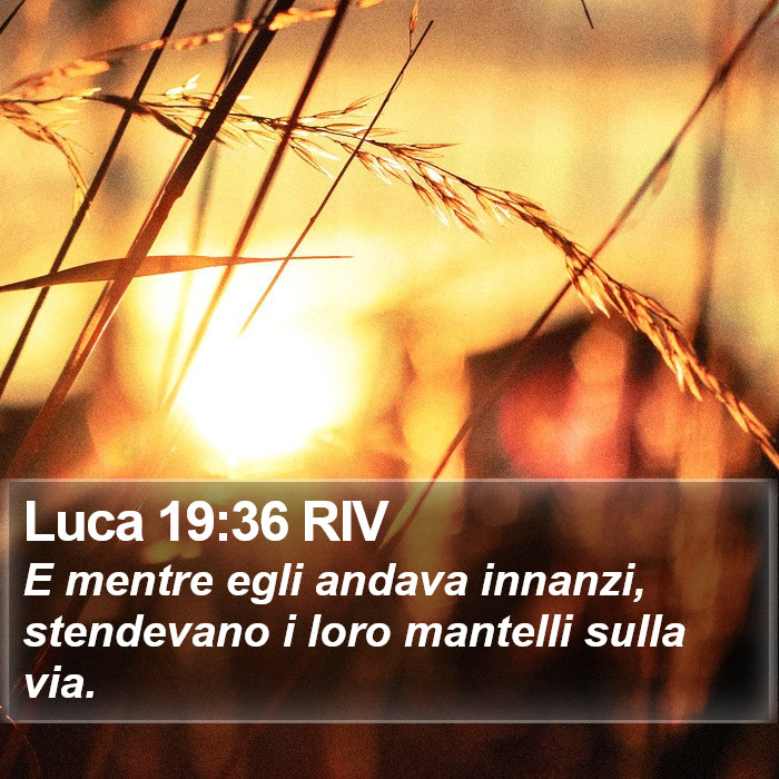 Luca 19:36 RIV Bible Study