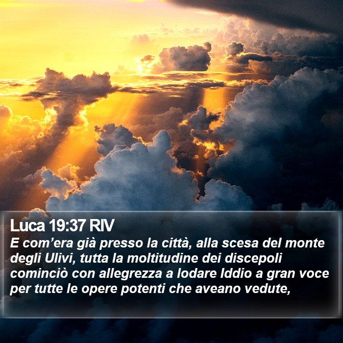 Luca 19:37 RIV Bible Study