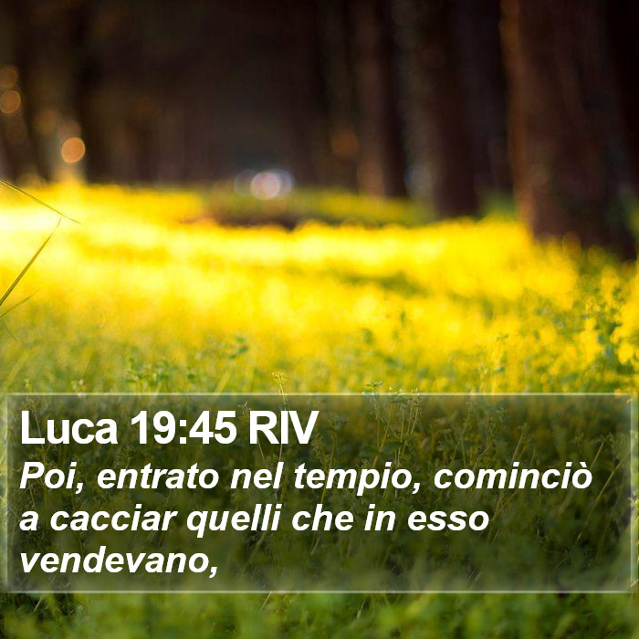 Luca 19:45 RIV Bible Study