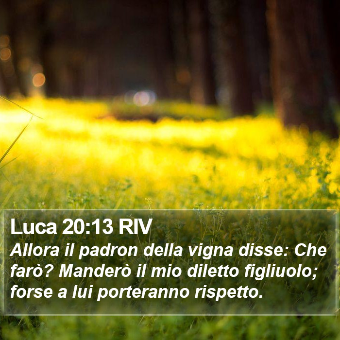Luca 20:13 RIV Bible Study