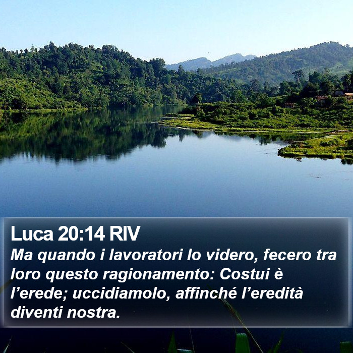 Luca 20:14 RIV Bible Study