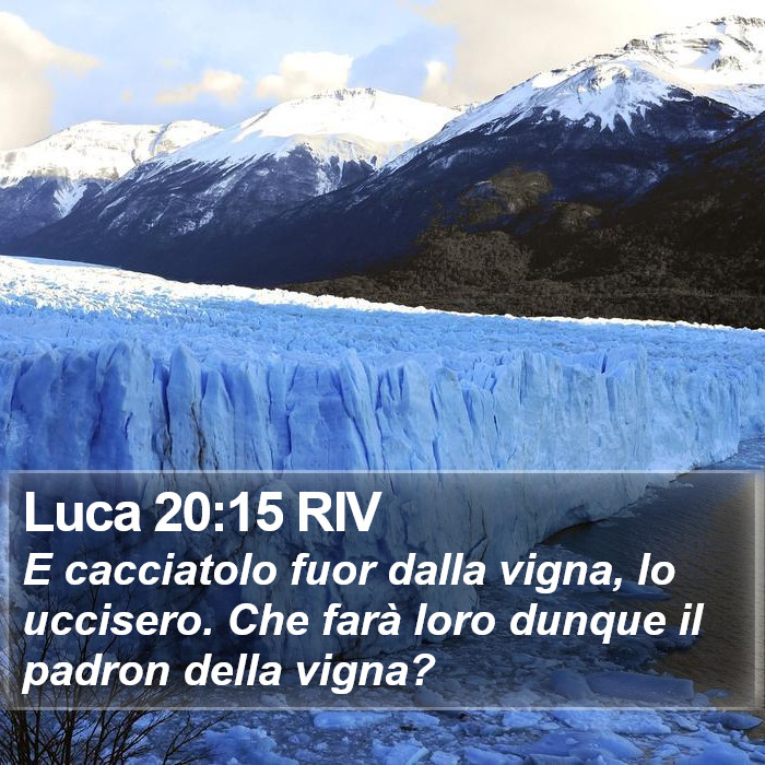 Luca 20:15 RIV Bible Study