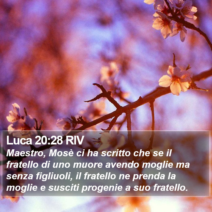 Luca 20:28 RIV Bible Study
