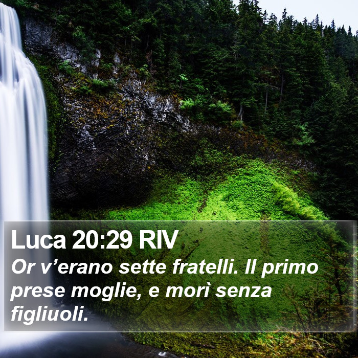 Luca 20:29 RIV Bible Study