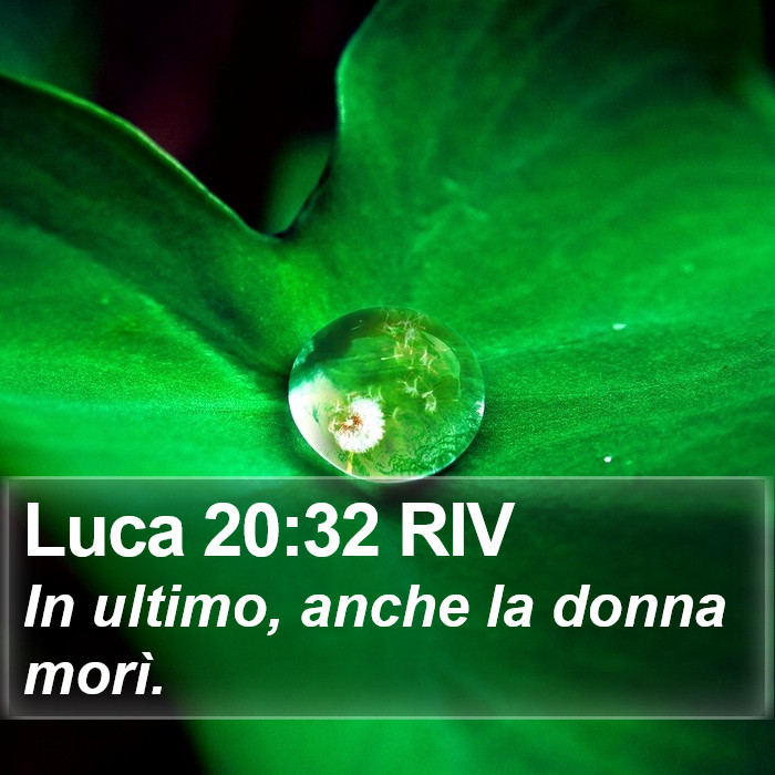 Luca 20:32 RIV Bible Study
