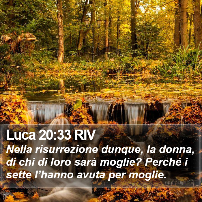 Luca 20:33 RIV Bible Study
