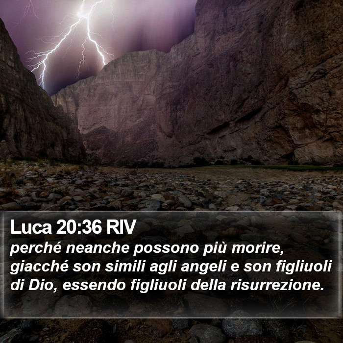 Luca 20:36 RIV Bible Study