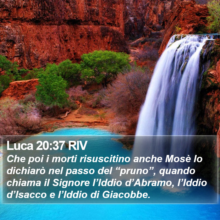 Luca 20:37 RIV Bible Study