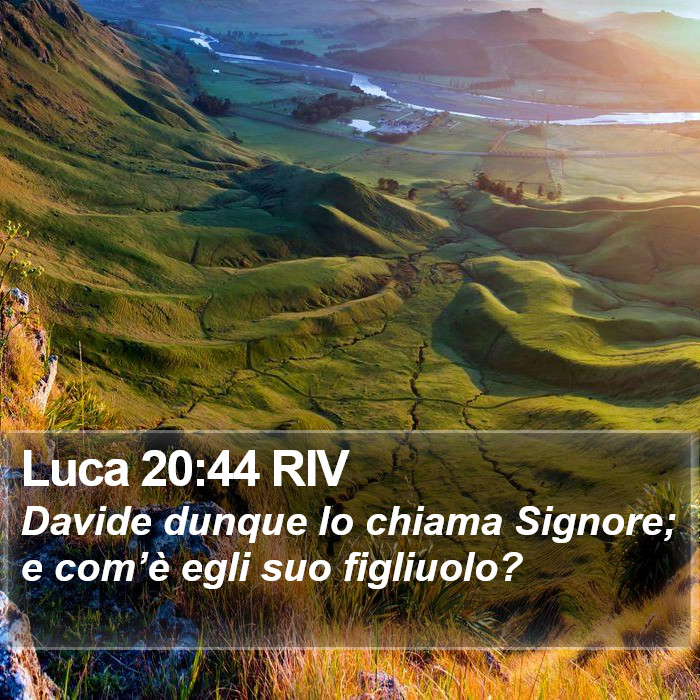 Luca 20:44 RIV Bible Study