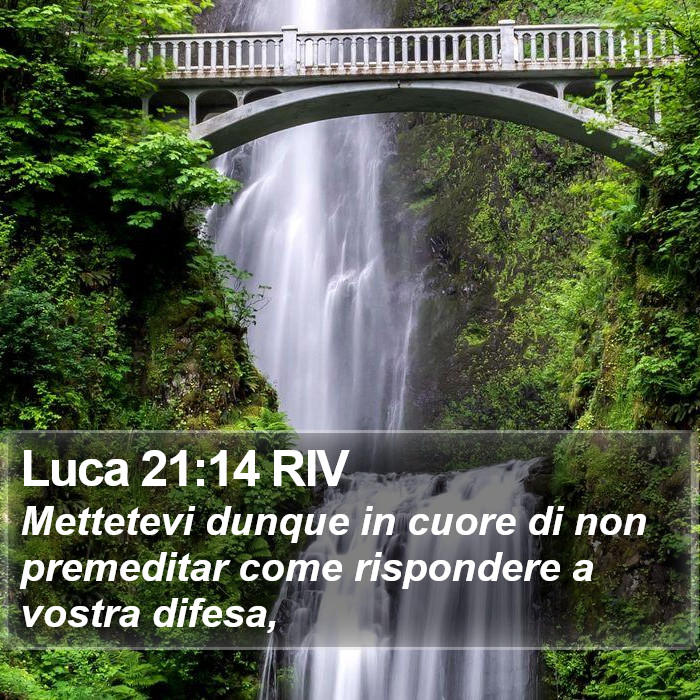 Luca 21:14 RIV Bible Study