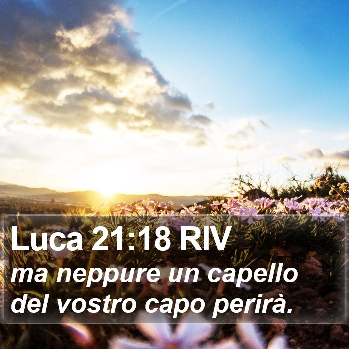 Luca 21:18 RIV Bible Study