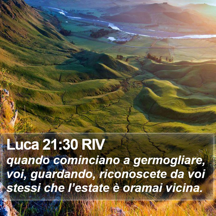 Luca 21:30 RIV Bible Study