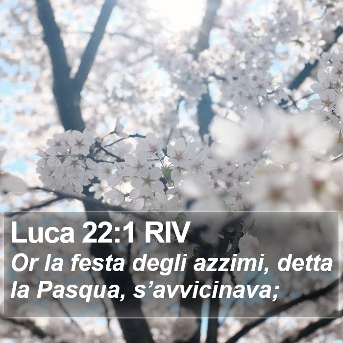 Luca 22:1 RIV Bible Study