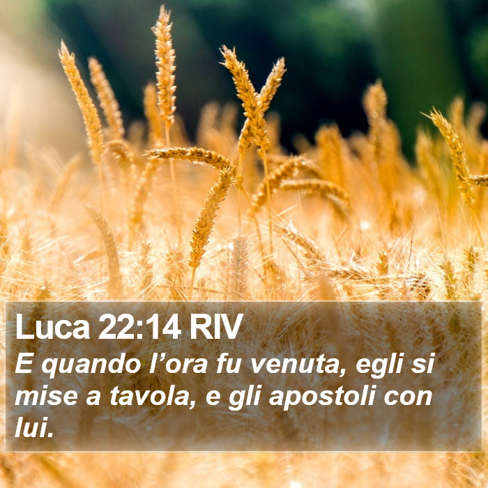 Luca 22:14 RIV Bible Study