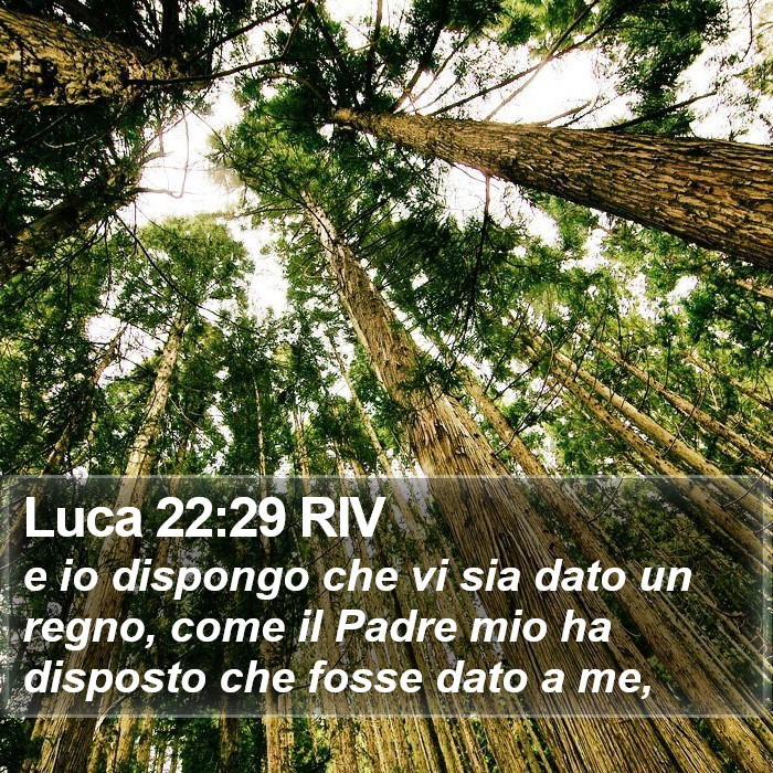 Luca 22:29 RIV Bible Study