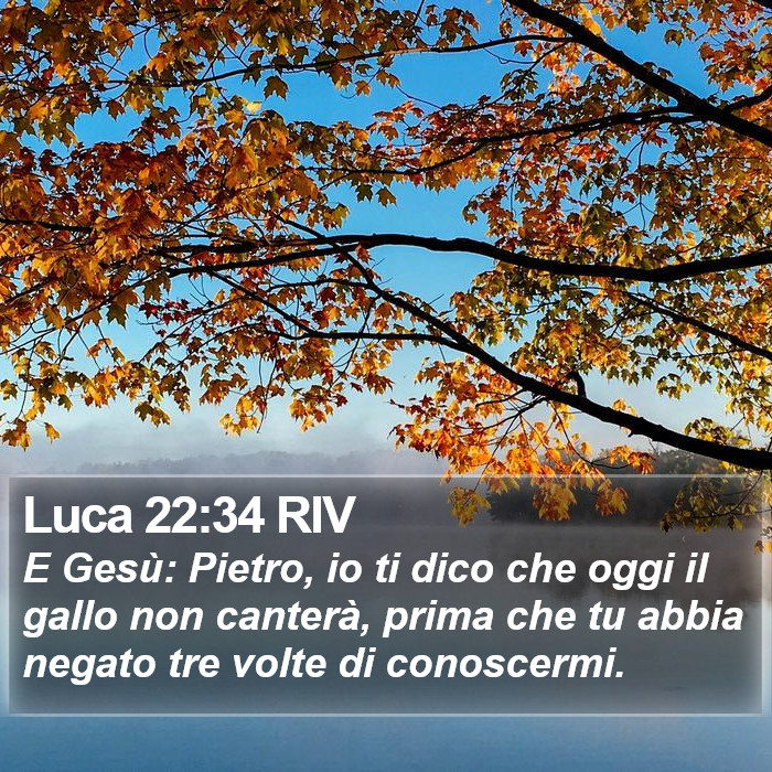 Luca 22:34 RIV Bible Study