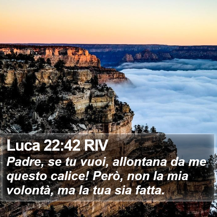 Luca 22:42 RIV Bible Study